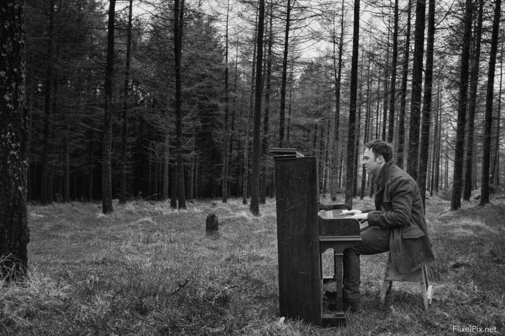 Forest Fog - Rams' Pocket Radio