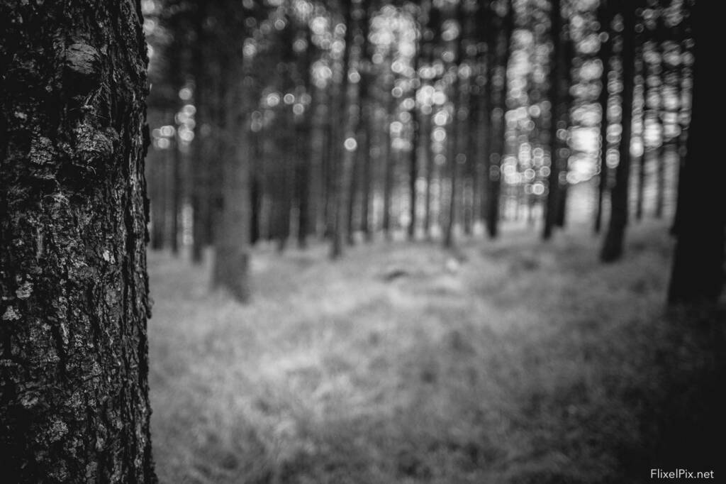 Fujifilm 16mm depth of field